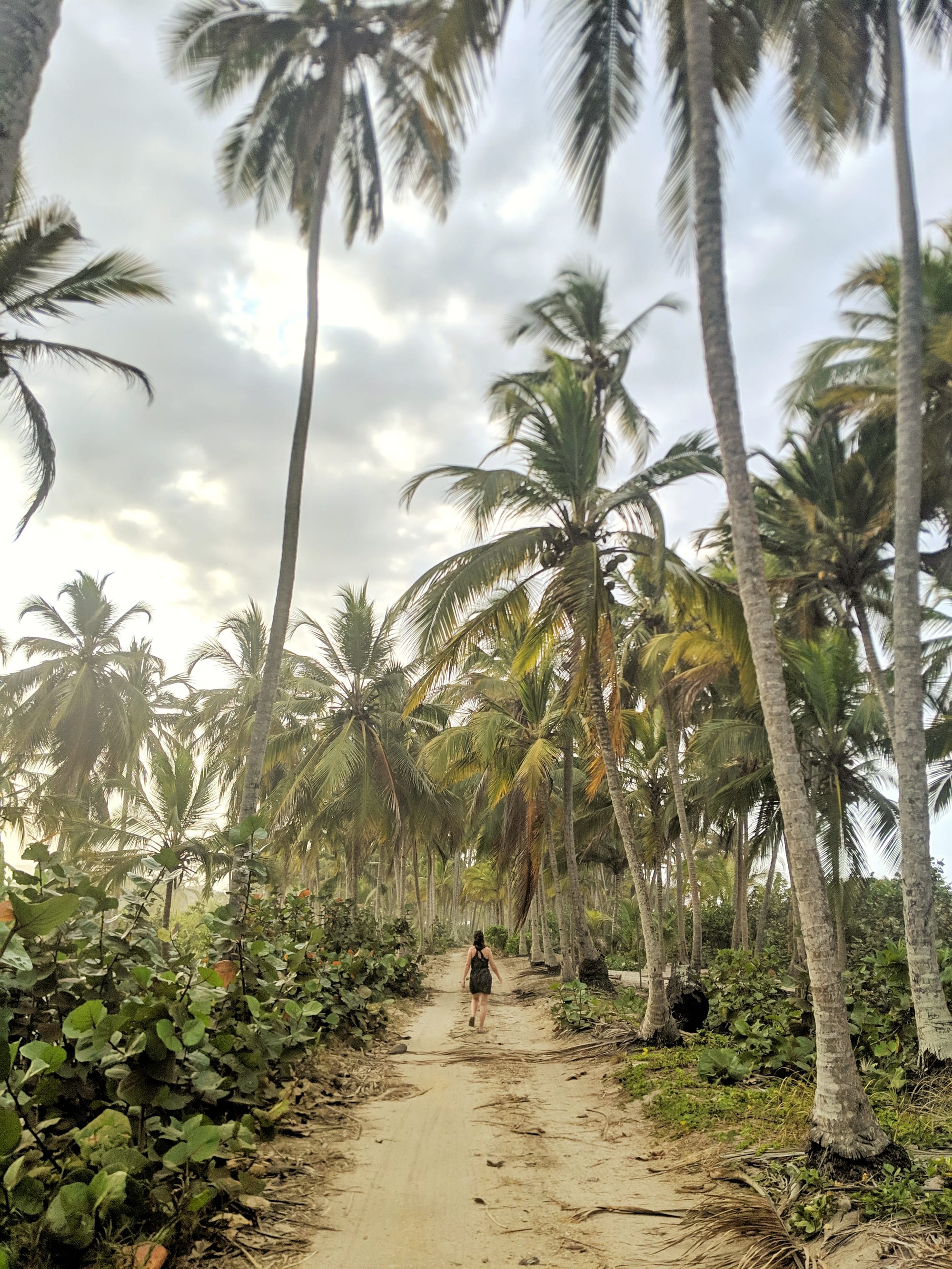 Central America with the Pixel 3 /