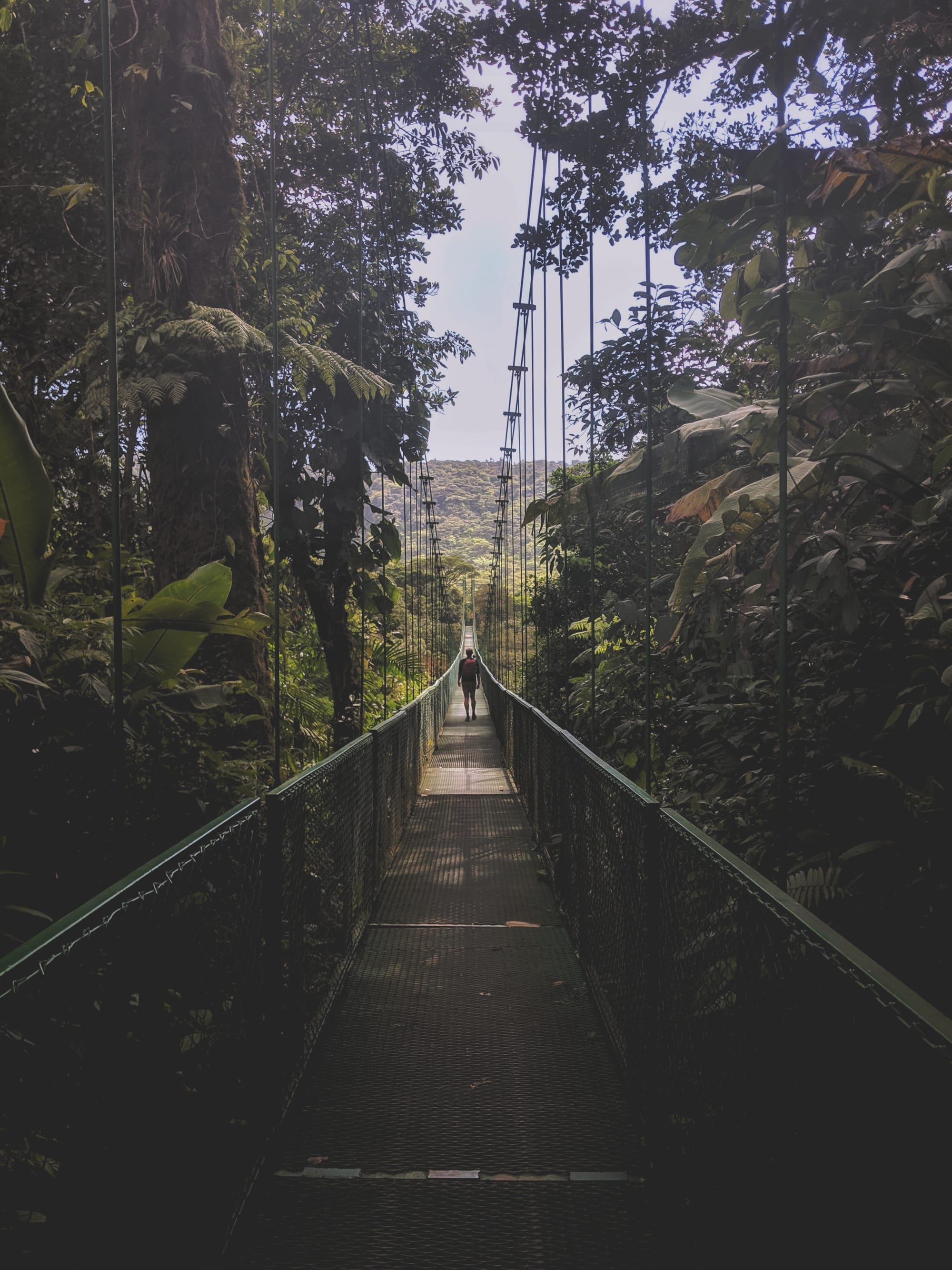 Central America with the Pixel 3 /